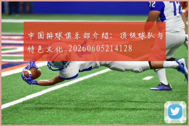 中国排球俱乐部介绍：顶级球队与特色文化_20260605214128