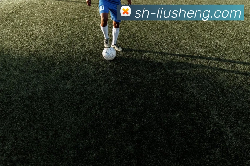 奖项证书